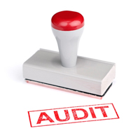 Quality Auditor 